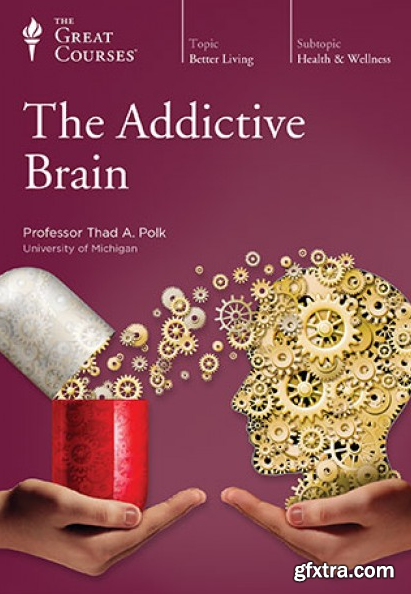 The Addictive Brain