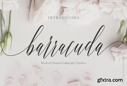 CreativeMarket Barracuda Script 2639531