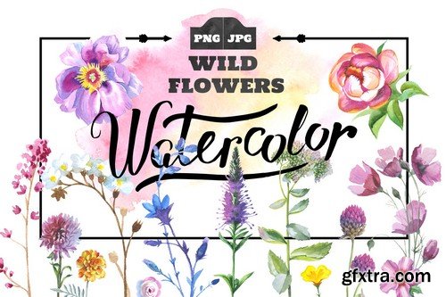 Watercolor Mega Bundle - 20 Sets with over 500 Graphics