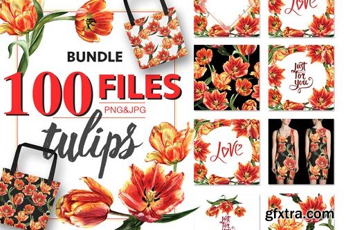 Watercolor Mega Bundle - 20 Sets with over 500 Graphics