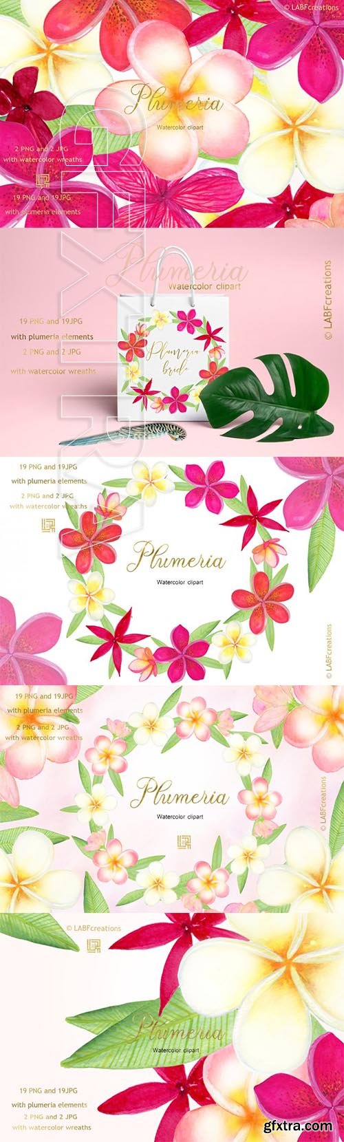 Plumeria Tropical watercolor flowers