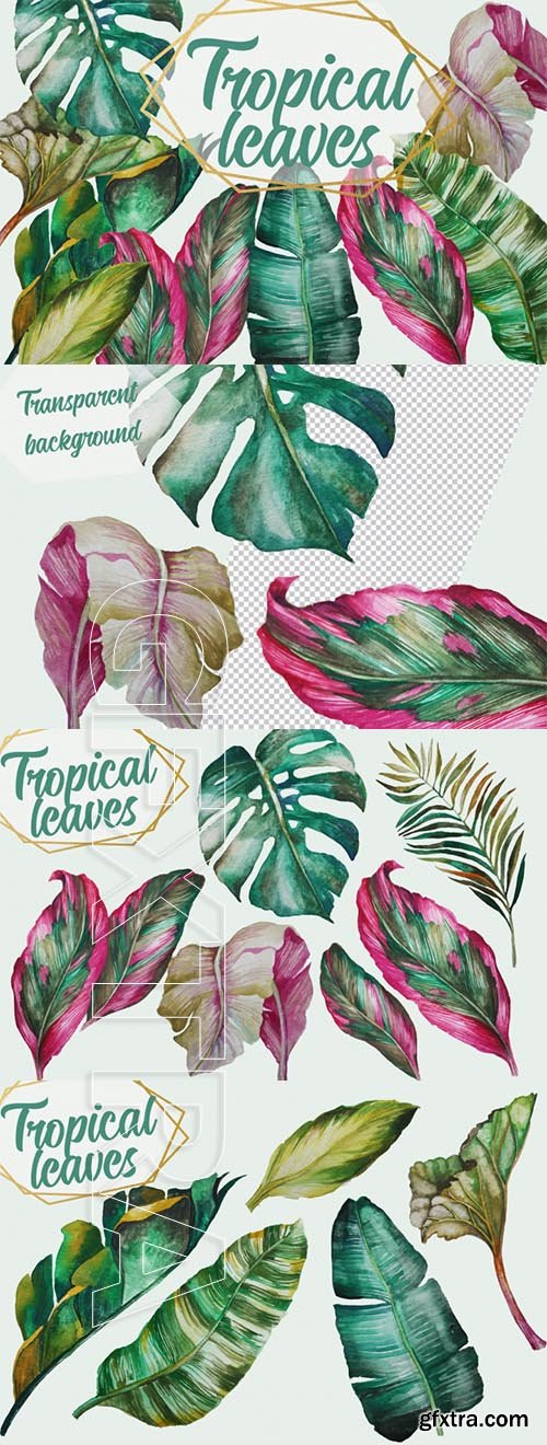 Tropical Greenery, Tropical Leaves