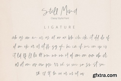 CreativeMarket Still Mind | Classy Font 2765013