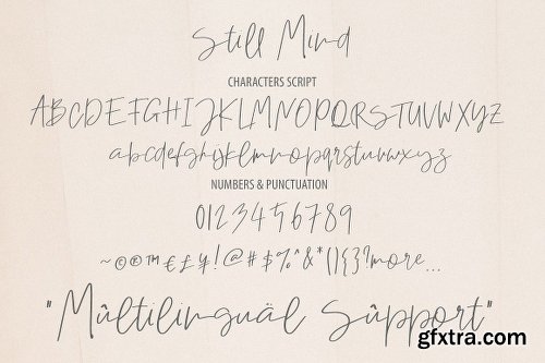 CreativeMarket Still Mind | Classy Font 2765013