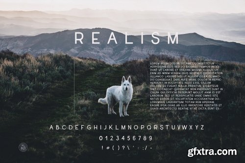 CreativeMarket Realism Font 2680840