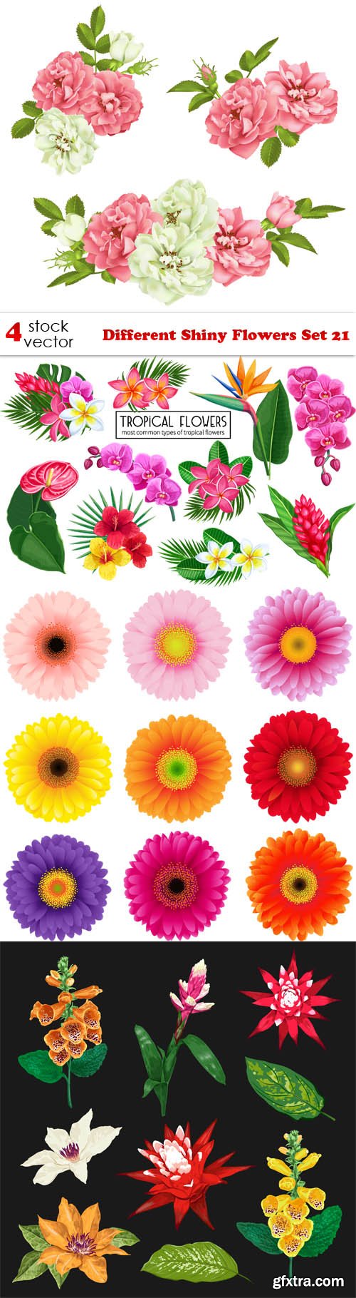 Vectors - Different Shiny Flowers Set 21