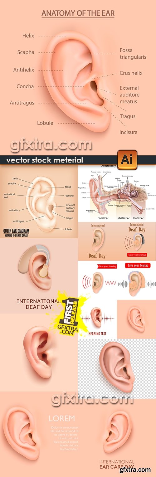 Ear medical care and prevention of an auricle