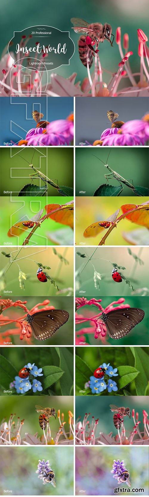 CreativeMarket - Insect World Lr Presets 2936994