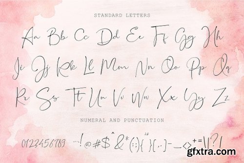 CreativeMarket Restacts Script Font 2856086