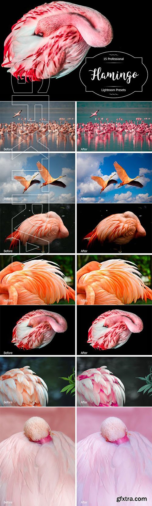 CreativeMarket - Flamingo Lr Presets 2941375