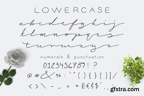 CreativeMarket Victoria Script 2424949