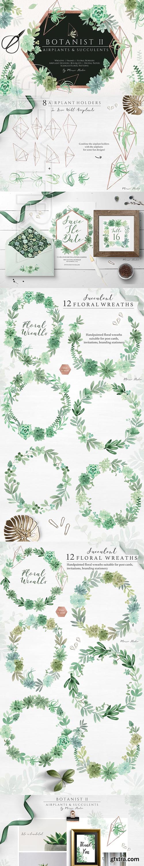 CreativeMarket - Botanist II - Airplants & Succulents 2884652