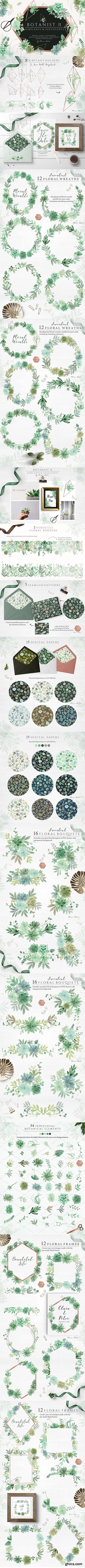 CreativeMarket - Botanist II - Airplants & Succulents 2884652