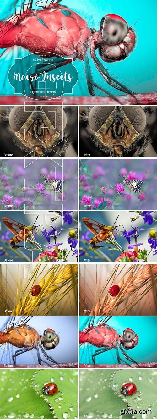 CreativeMarket - Macro Insects Lr Presets 2941660