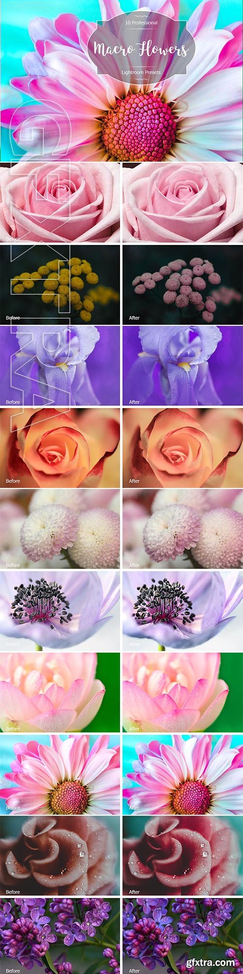 CreativeMarket - Macro Flowers Lr Presets 2941642