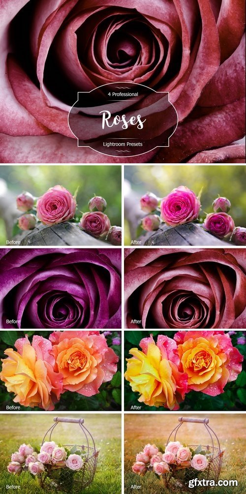 CM - Roses Lr Presets 2947513