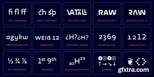 Wozniak Font Family