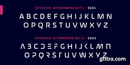 Wozniak Font Family