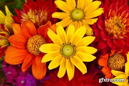 Autumn flowers bouquet of yellow 25 HQ Jpeg