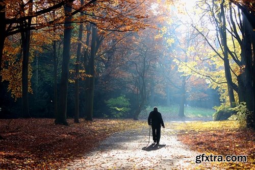 Autumn nature man boy yellow leaf forest 25 HQ Jpeg