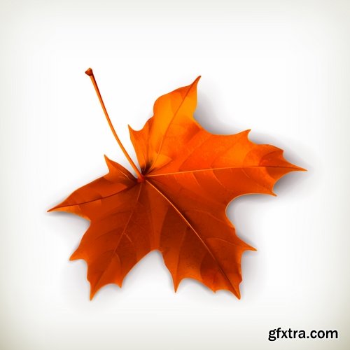 Autumn background is a picture poster flyer banner leaf tree 25 EPS