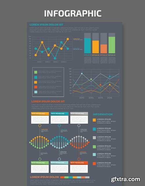 Infographic Template Design 6