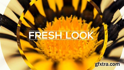 Videohive Elegant Focus - Promo Slideshow 12087347