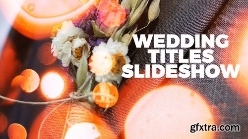 Videohive Wedding 21777207