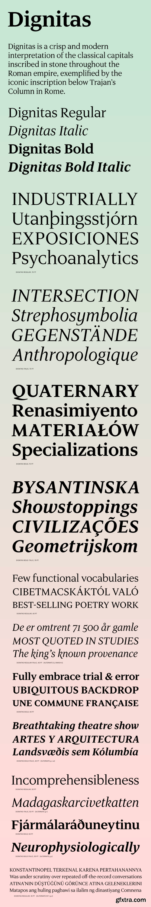 Dignitas Font Family