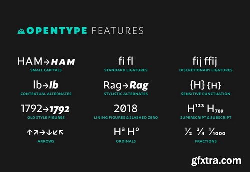 Maipo Sans Font Family