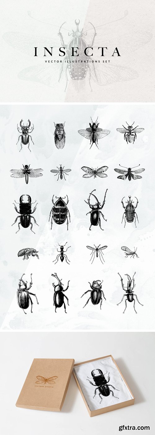 20 Insecta Vector Illustrations Set