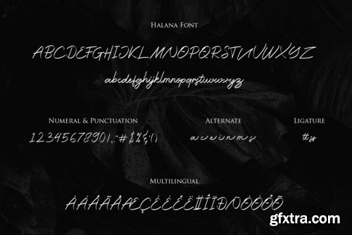 Halana Font