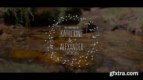 Videohive Platinum | Wedding Titles Pack 17285978