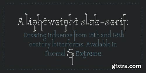 Tourette Font Family - 2 Fonts