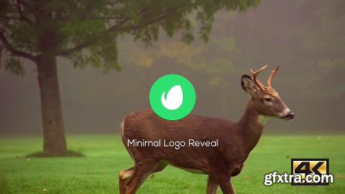 Videohive Minimal Logo Reveal Pack 15403253