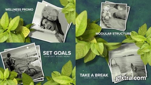 Videohive - Wellness & Health Promo - 22110297