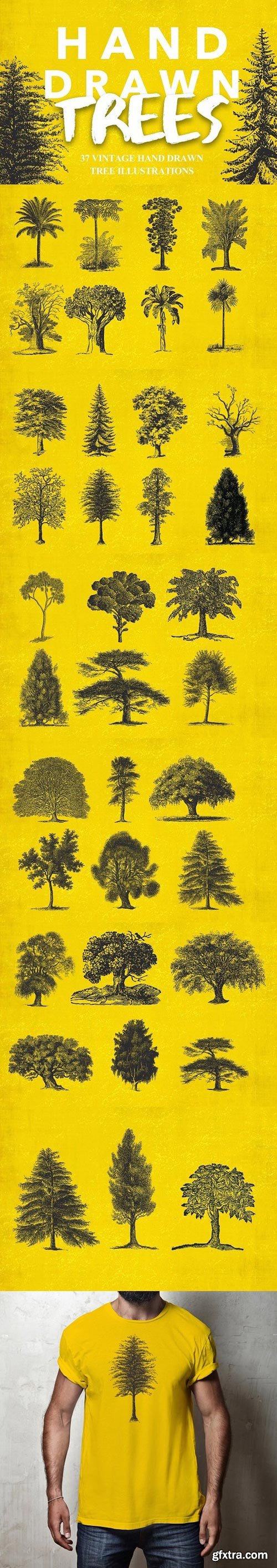 CM - 37 Vintage Tree Illustrations 1482071