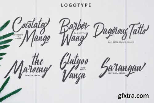 Manhatoone Script Font Family - 3 Fonts