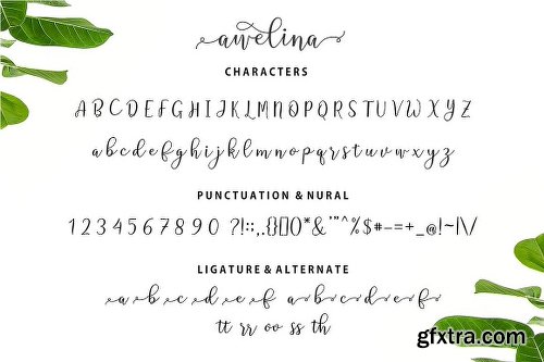 CreativeMarket Awelina Script 2962790