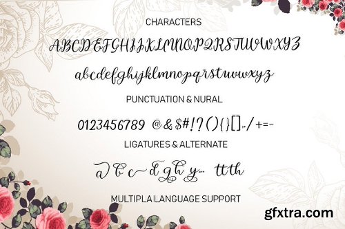 CreativeMarket Intybus Script 2961979