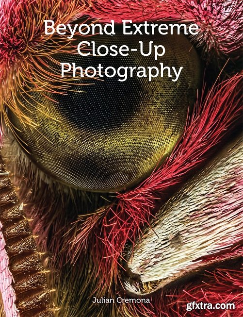 Beyond Extreme Close-Up Photography