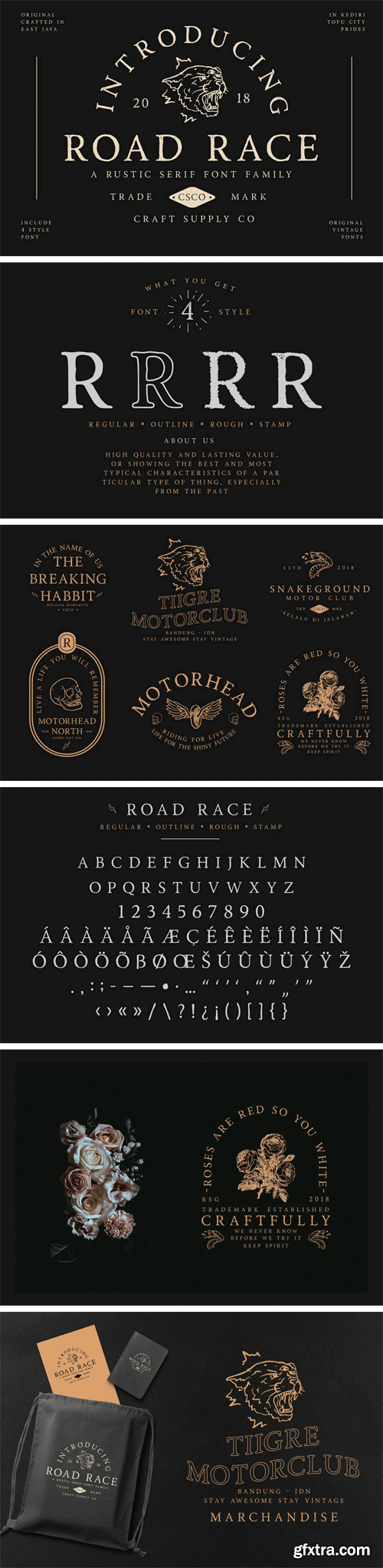 Road Race Font Family