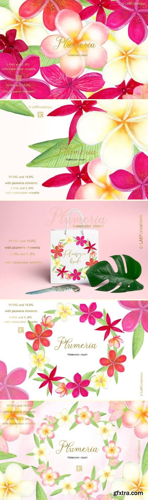 CM - Plumeria Tropical watercolor flowers 2906899