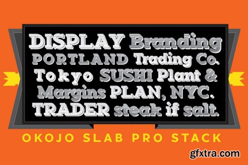 Okojo Pro Slab Stack Font Family - 5 Fonts