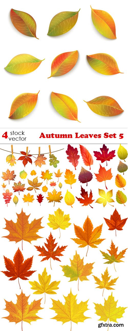 Vectors - Autumn Leaves Set 5