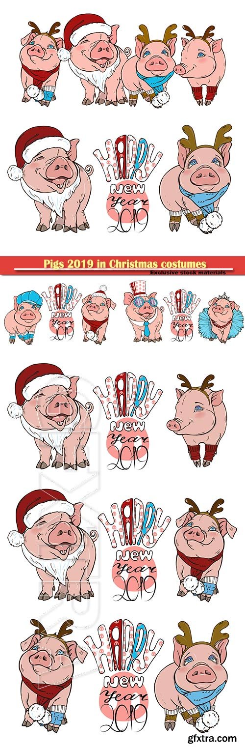 Pigs 2019 in Christmas costumes, vector illustration