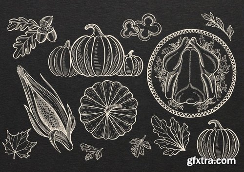 Thanksgiving Food Illustrations