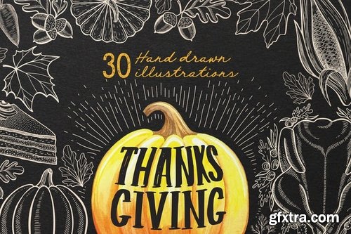 Thanksgiving Food Illustrations