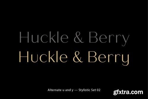 CM - Quiche Sans Font Family 2975725