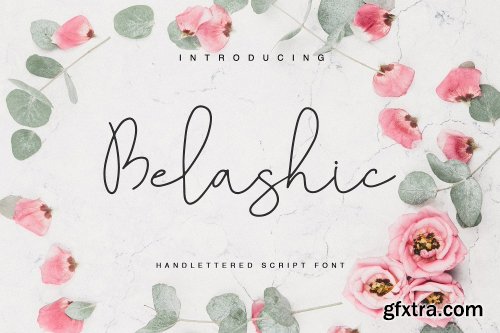 CreativeMarket Belashic 2671722